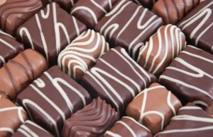 Homemade Chocolate Near Me Kilpauk Homemade Chocolate Near Me Kilpauk